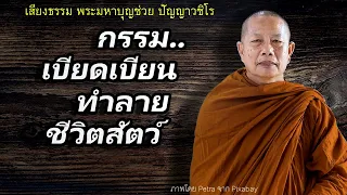 กรรม..ฆ่าสัตว์ ธรรมะคลายทุกข์ พระมหาบุญช่วย ปัญญาวชิโร