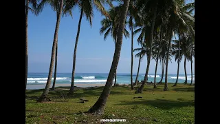 CABARETE PRO SURF CONTEST DOMINICAN REPUBLIC PLAYA ENCUENTRO QS 1000 DAY TWO ACTION & VIBES