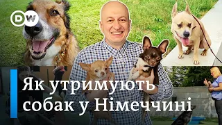 Як німці утримують собак і скільки це коштує - "Відкривай Німеччину з Михайлом Малим" | DW Ukrainian