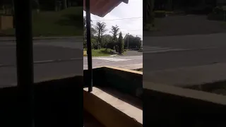 fuerte accidente no apto para cardíacos.