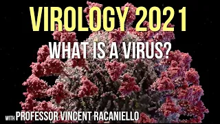 Virology Lectures 2021 #1: What is a Virus?