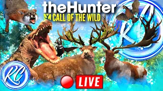 🔴LIVE - *40K SUBS?!* Taking a Level 5 Gemsbok AND Wildebeest & Hunting Multiplayer! Call of the Wild
