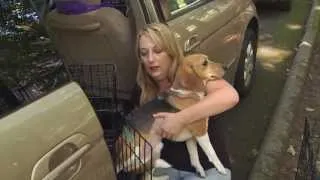 Group Rescues Laboratory Dogs