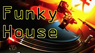 FUNKY HOUSE 177