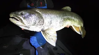 TIPS TO CATCH MORE LAKE TROUT THROUGH THE ICE! (Straight from a guides mouth) #fishing #laketrout