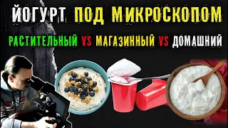 Йогурт: магазинный против домашнего и растительного | Под микроскопом | Что дешевле?