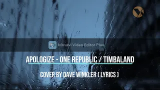 One Republic ft  Timbaland   Apologize (Cover by Dave Winkler)