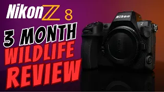 Pros and Cons of the Nikon Z8 :  Bird and Wildlife Photography 3-Month Review