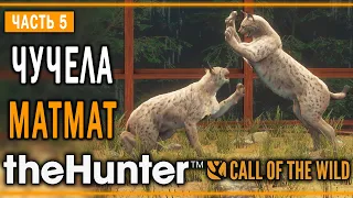 theHunter Call of the Wild #5 🐱 - Шуточный Бой - Кoмпозиции из Чучeл