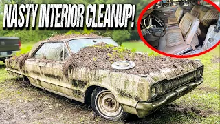 ABANDONED Dodge Monaco NASTY INTERIOR for 40+ Years: SATISFYING Cleanup!