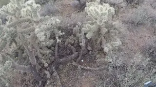 Out in desert metal detecting by superstition mountain 2021