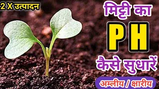 मिट्टी का pH कैसे सुधारें || How to manage soil pH || Soil pH || Soil Treatment