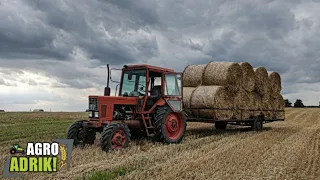 Zwożenie Słomy 2023 🔥 40-tka na przepale! 🔥 MTZ 82 🔥 Ursus C-4011 🔥