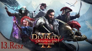 Divinity : Original Sin 2- Definitive Edition 13.Rész - Tactican Mód (Harcfókuszú Végigjátszá