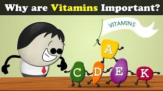 Why are Vitamins Important? + more videos | #aumsum #kids #science #education #children