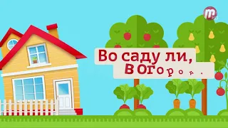 "Во саду ли, в огороде" (выпуск от 09.06.23)