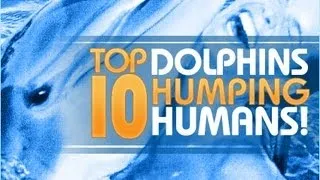 Top 10 Dolphins Humping Humans