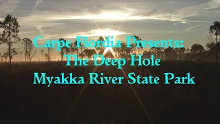 Myakka River State Park: The Deep Hole