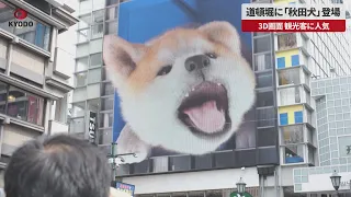 【速報】道頓堀に「秋田犬」登場 3D画面 観光客に人気