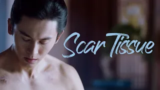 Scar Tissue | 山河令 | Word of Honor | Zhou Zishu / Wenzhou