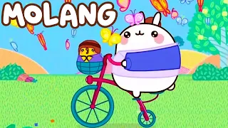Molang 🐰 自転車 THE BICYCLE 🚴 Cartoons collection 🌈 Cartoon For Kids ⭐ Super Toons TV アニメ