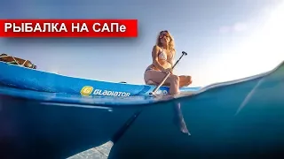 Рыбалка на Черном море. Купаемся и ловим ставриду на САПе