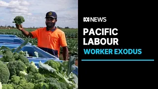 Worker exodus from Pacific island nations causing skills shortage back home | ABC News