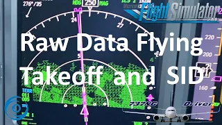 Raw Data Flying: Takeoff and SID | Real 737 Pilot