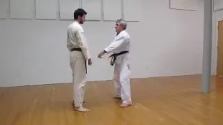 Yansu Kata — Bunkai/Oyo