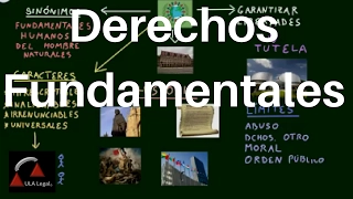 Derechos Fundamentales