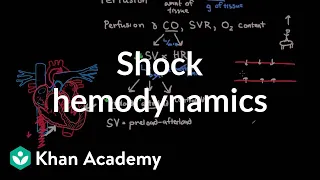 Shock - hemodynamics | Circulatory System and Disease | NCLEX-RN | Khan Academy