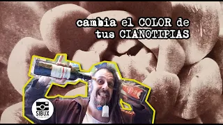 como CAMBIAR el COLOR de tus CIANOTIPIAS