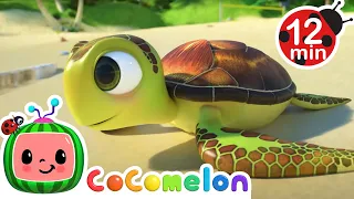 Sea Animal Song 🐋🐢| CoComelon | Kids Cartoons & Classic Nursery Rhymes⭐ | Moonbug Kids