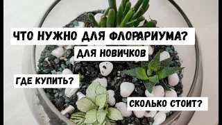 ЧТО НУЖНО ДЛЯ ФЛОРАРИУМА? Что нужно купить, чтобы делать красивые флорариумы? Нюансы для новичков