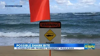 11-year-old girl recovers from shark bite in Kaʻaʻawa