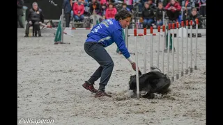 "Momenti Mondiali" al World Agility Championship IFCS 2019