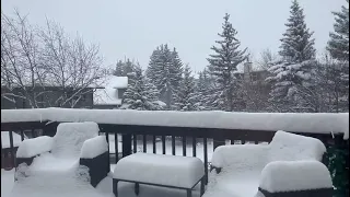 🍁 Deck #snow #snowfall #calgary #alberta #canada