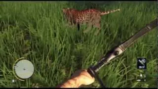 Far Cry 3 | Path of the Hunter - Black Panther