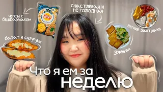 ЧТО Я ЕМ ЗА НЕДЕЛЮ *по-настоящему*