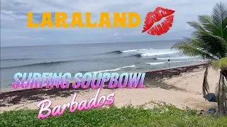 Surfing Soupbowl, Barbados: Glassy 2ft Fun Waves