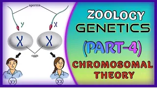 ZOOLOGY GENETICS (PART-4)//12th CLASS// +2 SCIENCE// NCERT// CBSE// CHSE// NEET // OUAT// AIIMS