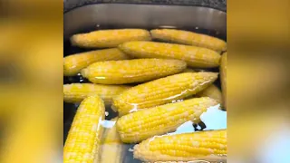 Freezing Sweet Corn 2023 (Short)