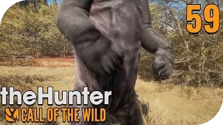 THE HUNTER: CALL OF THE WILD #59 - BIGFOOT GESICHTET?! 🐗 || PantoffelPlays