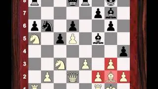 Chess World.net: Brief commentary #32 - Veselin Topalov vs Sergey Karjakin - Zug Grand Prix 2013