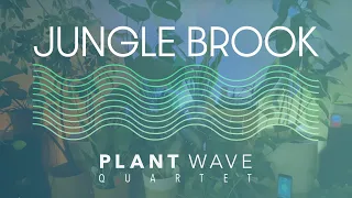 PlantWave Quartet - Jungle Brook - 528hz Plant Music (48 minutes)