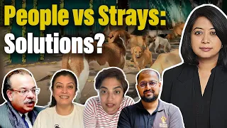 The question about stray dogs: Balancing human lives and animal rights  | Faye D'Souza