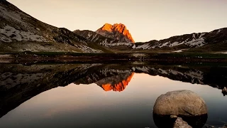 Wild Italy - Sopravvissuti - Abruzzo - 2014