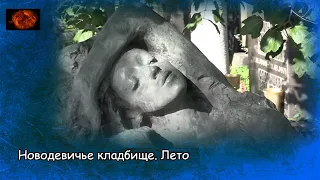 Новодевичье кладбище. Лето / Novodevichy cemetery. Summer (2020)