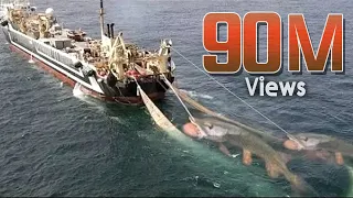 Hunting Video  - Unbelievable Net Fishing | You Won't Believe That How Many Fishes