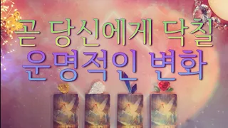 곧 당신에게 닥칠 운명적인 변화(ft.구체적인 시기까지)에 대해 알려드릴게요.